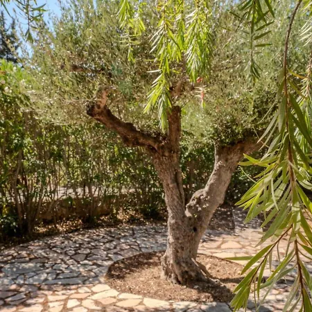 Holiday home Oleander *