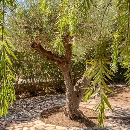 Oleander Holiday home *